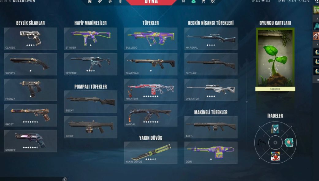 VALORANT EJDERLİ KELEBEKLİ HESAP